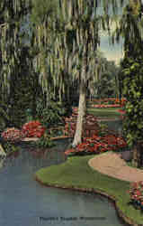 Florida's Tropical Wonderland Postcard