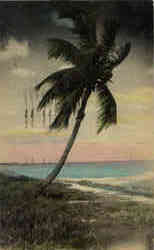 "The Lonely Shore" Postcard