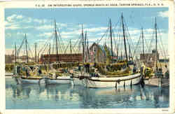 An Interesting Sight, Sponge Boats at Dock Postcard