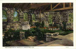 The Fountain of Youth Postcard