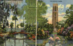 The singing tower Postcard