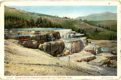 Mammoth hot springs terraces Postcard