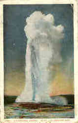 Old Faithful Geyser - 150 Ft Postcard