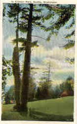 In Kinner Park Postcard