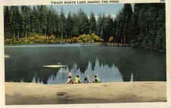Twain Harte Lake among the Pines Postcard