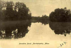 Paradise Pond Postcard