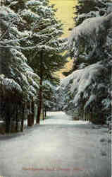 Partridgeville Road Postcard