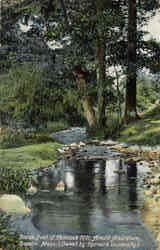 Brook, foot of Hemlock Hill, Arnold Arboretum Postcard