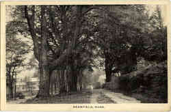 Deerfield Postcard
