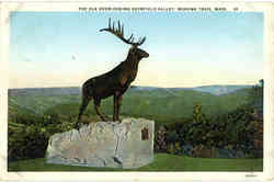 The Elk Overlooking Deerfield Valley Postcard