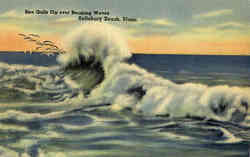 Sea Gulls Dip over Breaking Waves Postcard