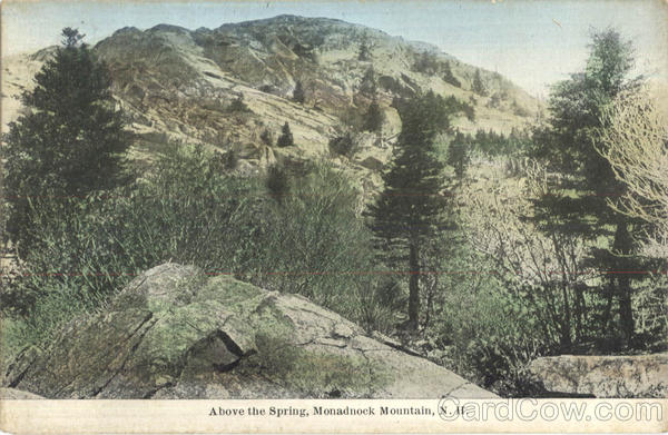 Above The Spring Mount Monadnock New Hampshire
