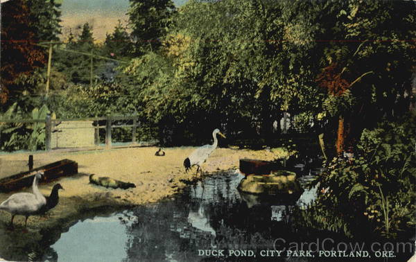 Duck Pond Portland Oregon