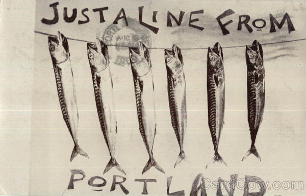 Just A Line From Portland Maine