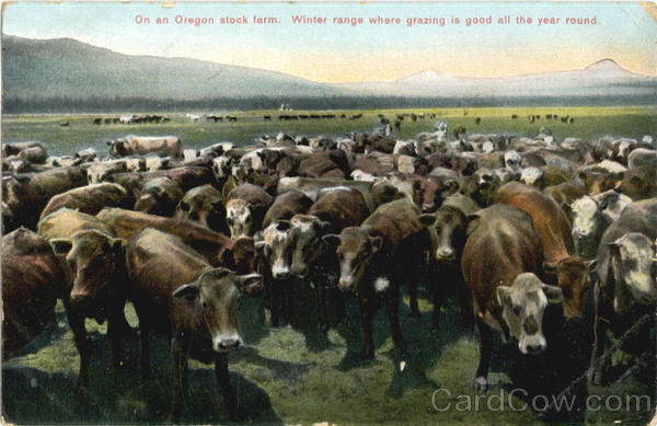 On An Oregon Stock Farm Scenic