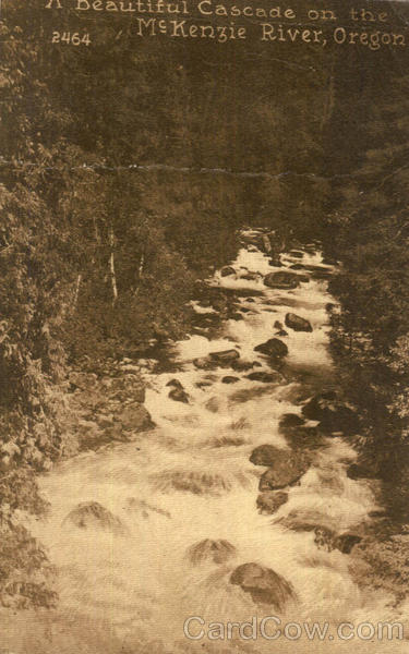 A Beautiful Cascade On The Mckenzie River Scenic Oregon