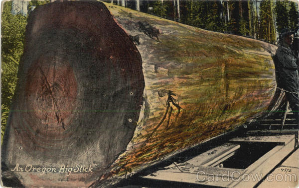 An Oregon Big Stick Scenic