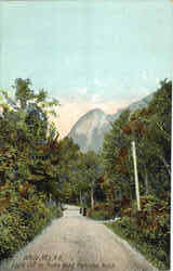Eagle Cliff On Profile Road, Franconia Notch Postcard