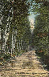 Gale River Road Postcard