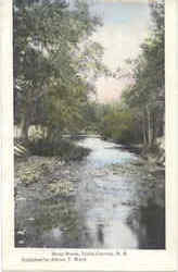 Stony Brook Postcard