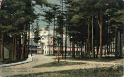Pine Grove Springs Hotel, Spofford Lake Postcard