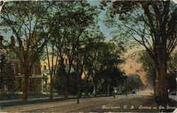 Looking Up Elm Street Postcard