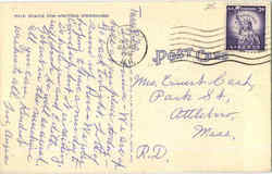 back