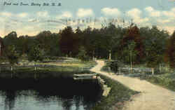 Pond And Grove Shirley Hill, NH Postcard Postcard