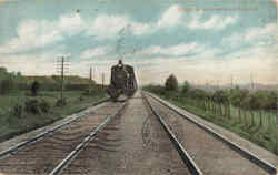 Flight Of International Limited Postcard