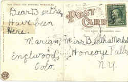 back