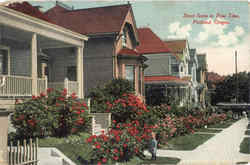 Street Scene In Rose Time Postcard