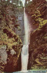 Multnomah Falls Scenic, OR Postcard Postcard