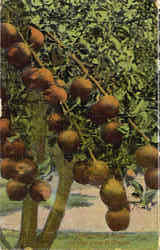 Stock #35239 Thumbnail