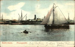 Maasgezicht Postcard