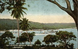 Port Antonio, Jamaica Harbor, Jamaica Postcard