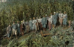 Stock #398541 Thumbnail