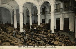 Warehouse of Leaf Tobacco Postcard