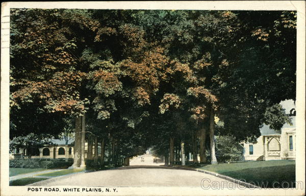 White plains nissan post road #6