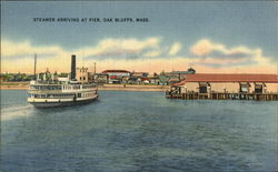 Steamer Arriving at Pier Postcard