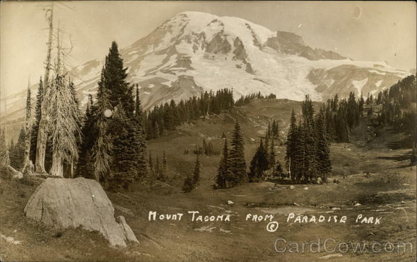 Mount Tacoma from Paradise Park Washington