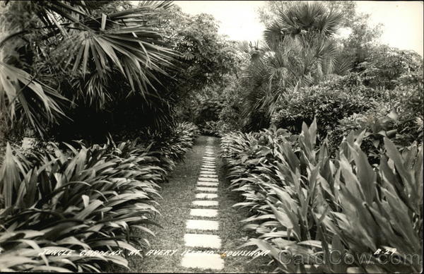 Jungle Gardens Avery Island Louisiana