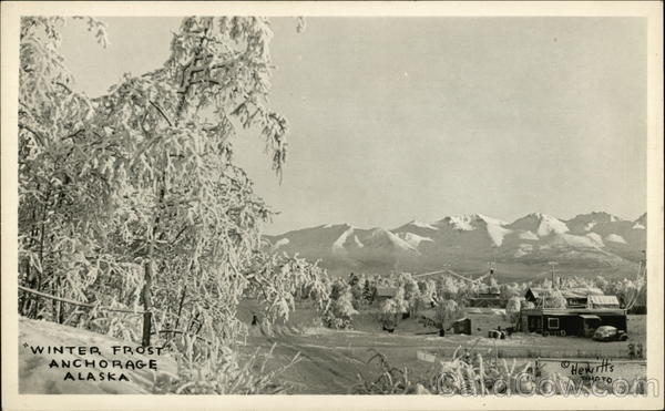 Winter Frost Anchorage Alaska