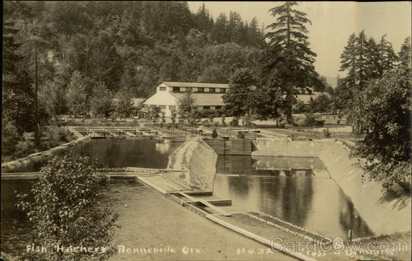 Fish Hatchery Bonneville Oregon