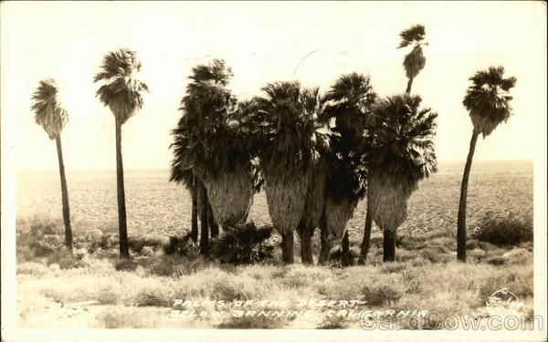 Palms of the Desert Banning California