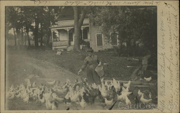 Woman Feeding Chickens Athens New York