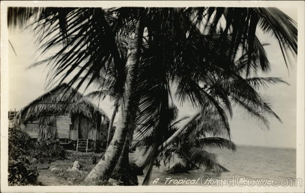 A Tropical Home Panama