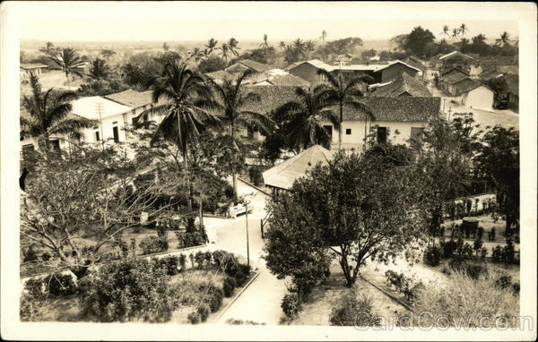 Coconut Palms Panama
