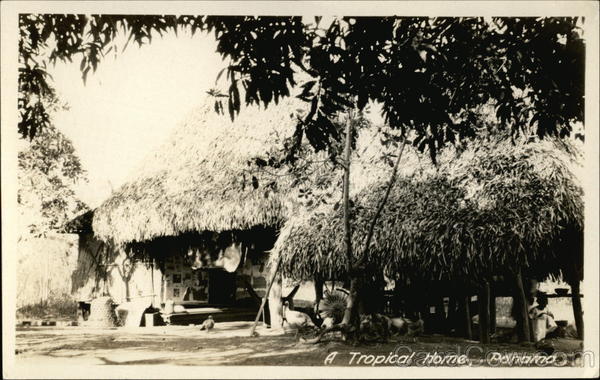 A Tropical Home Panama