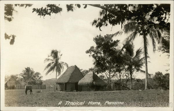 A Tropical Home Panama