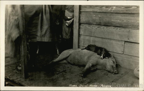 Home Sweet Home Panama